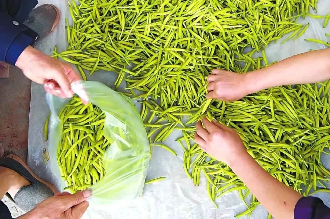 640?wx_fmt=jpeg&from=appmsg