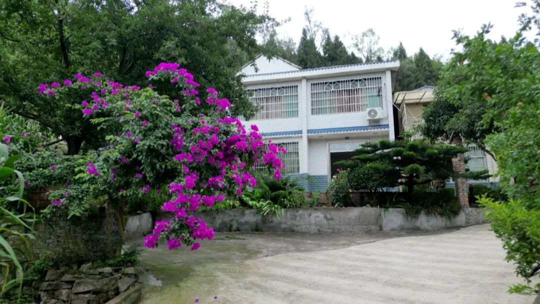 渠县：“积分制”激活乡村治理新效能