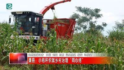 渠县：小秸秆织就乡村治理“同心结”