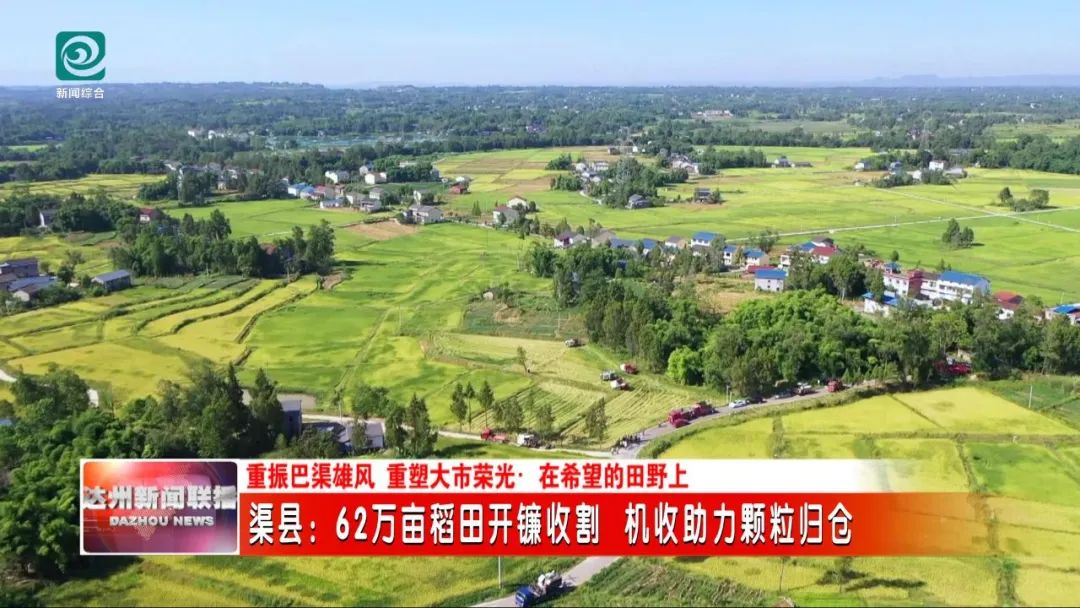 渠县62万亩稻田开镰！机械化收割确保颗粒归仓