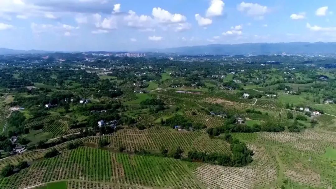 系列报道《福美之地·好客渠县》跟着红色文化游渠县感悟峥嵘岁月