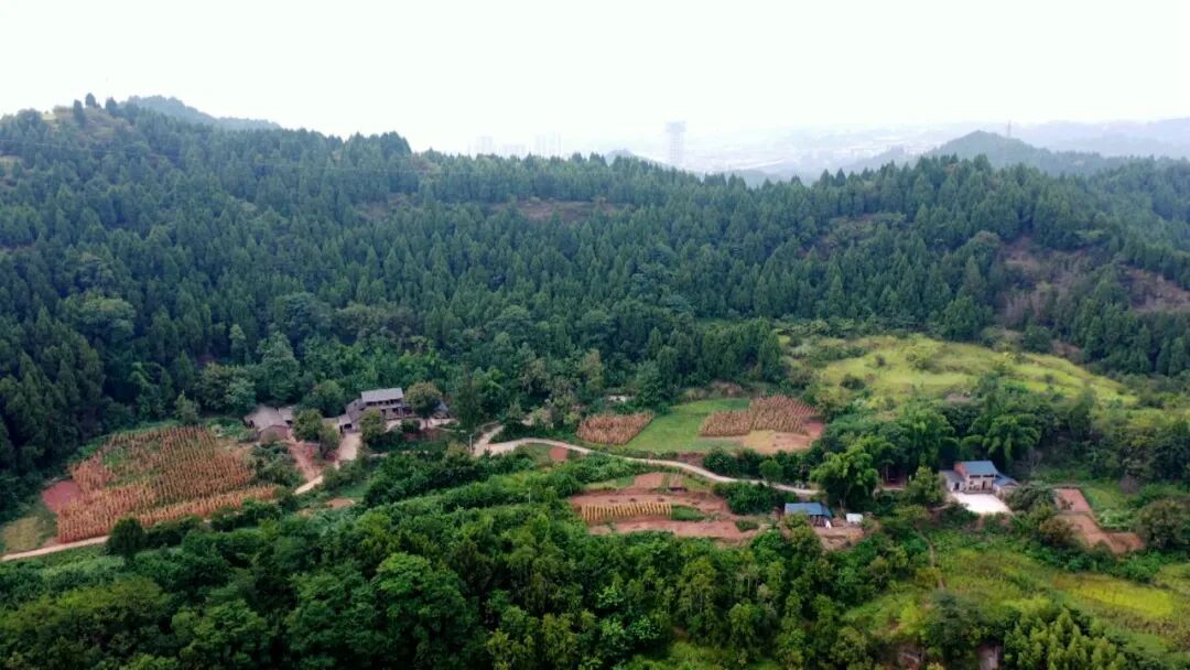 渠县：加强秋季地灾防治守护群众生命财产安全