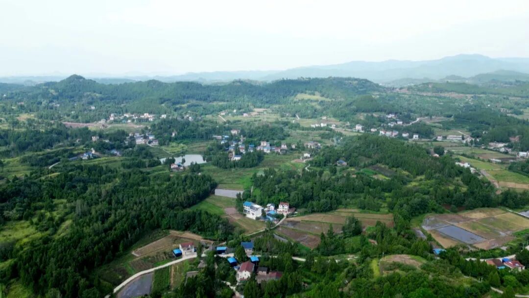 渠县：小庭院“茧”出新“丝路”