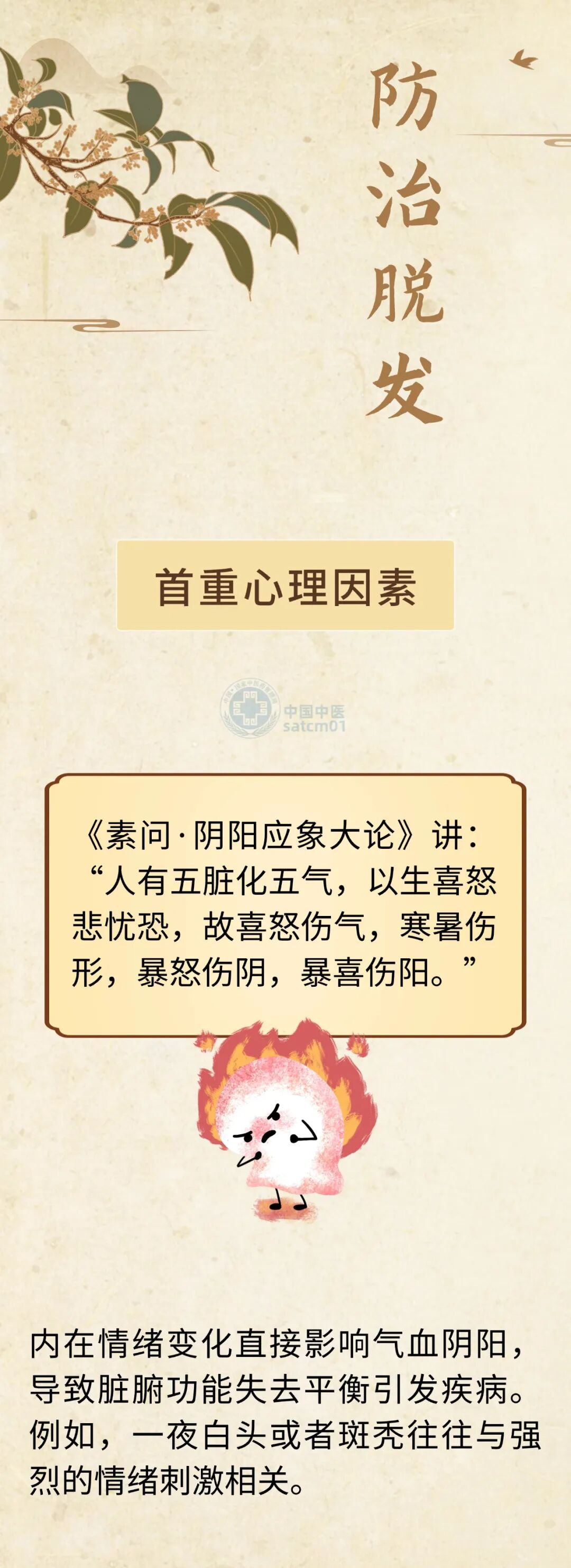 【健康养生】头发黑亮浓密的关键在精血！防治脱发，这五个生活细节别忽视