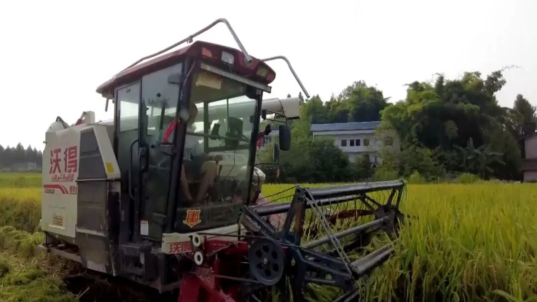 640?wx_fmt=jpeg&from=appmsg#imgIndex=2