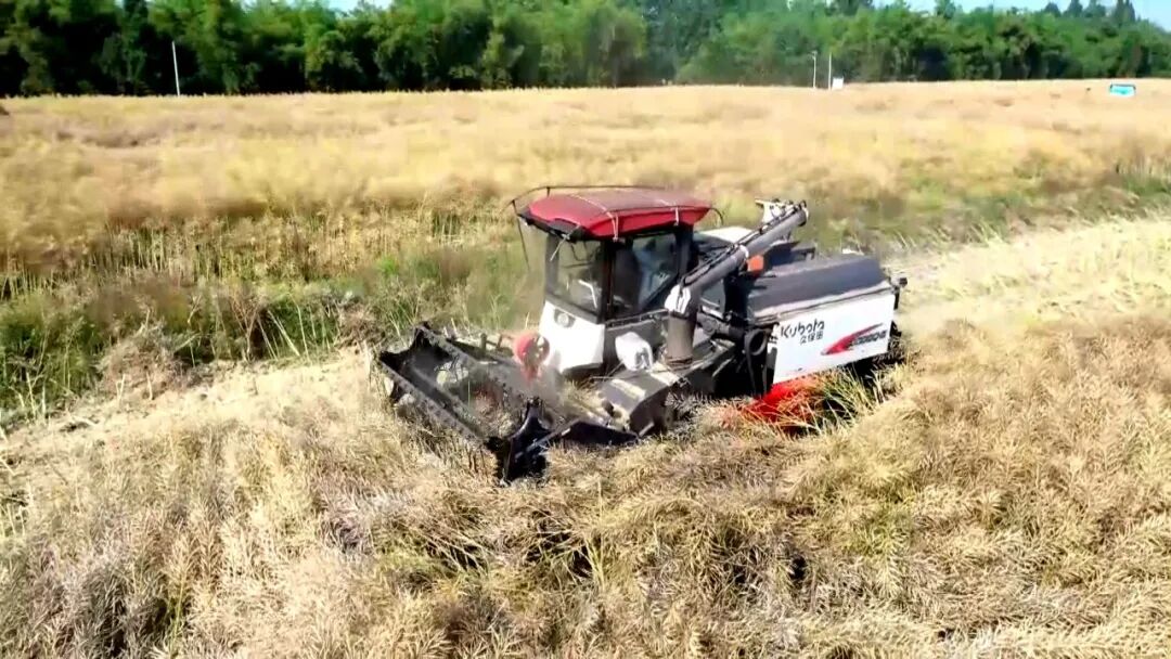 640?wx_fmt=jpeg&from=appmsg#imgIndex=5