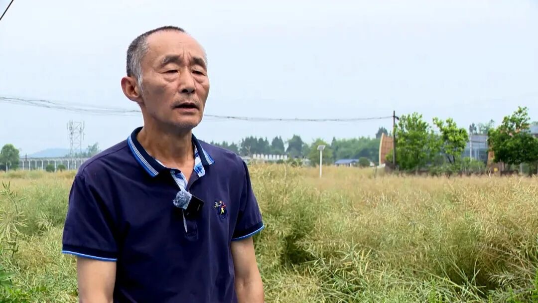 640?wx_fmt=jpeg&from=appmsg#imgIndex=8