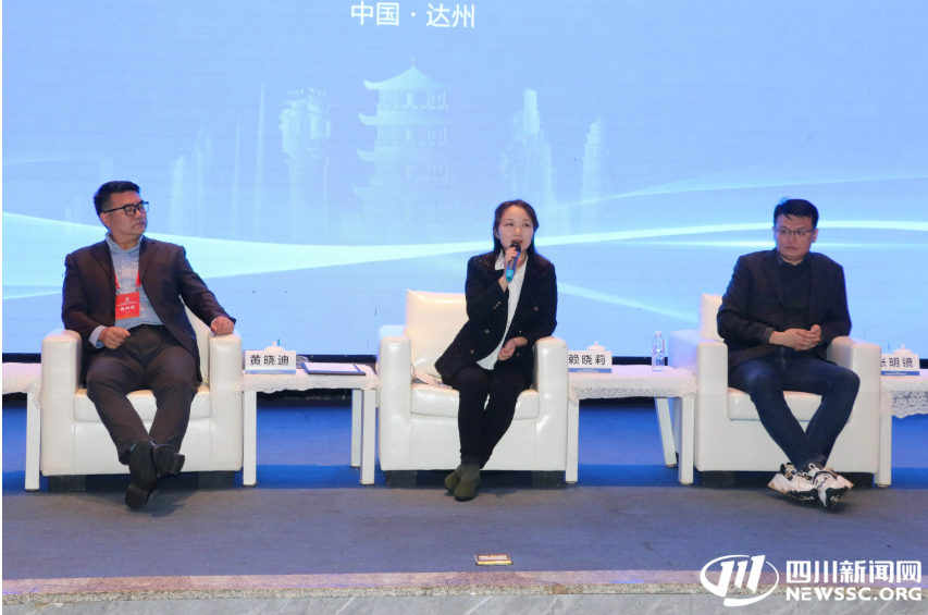 直击文旅融资痛点 数智擘画投创蓝图——第五届数字经济投融资机构四川行圆桌对话在达州举办