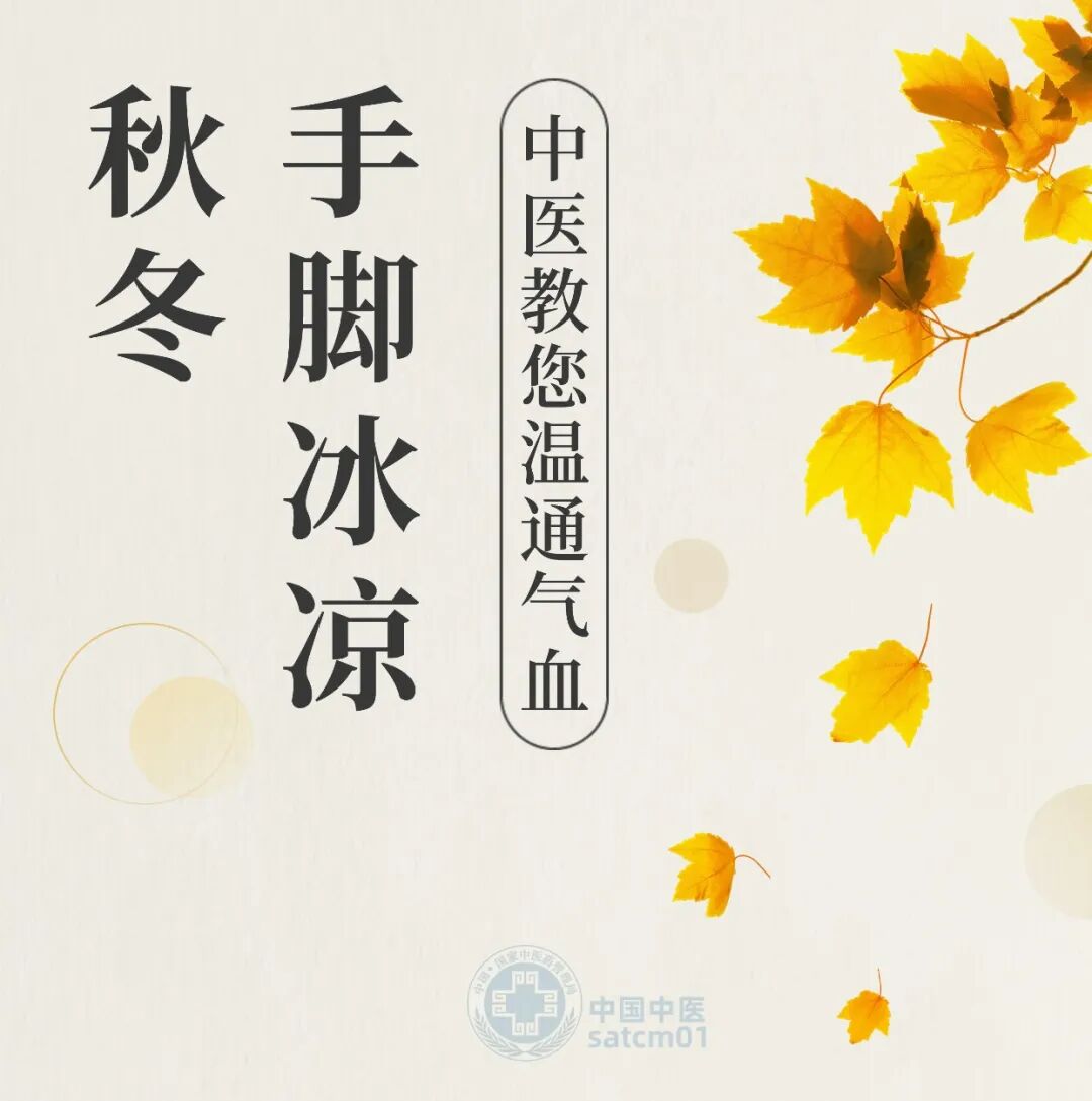 【健康养生】秋冬手脚冰凉，可能是气血没跟上！中医小方法帮您暖回来