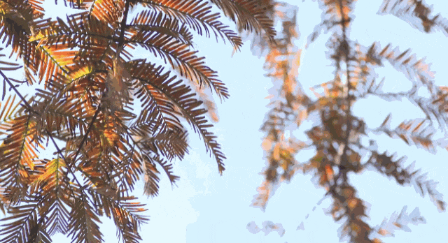 640?wx_fmt=gif&from=appmsg#imgIndex=3