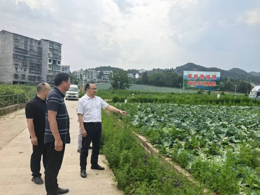 驻村帮扶结硕果 产业振兴焕新颜——渠县纪委监委推动翰林村产业振兴纪实