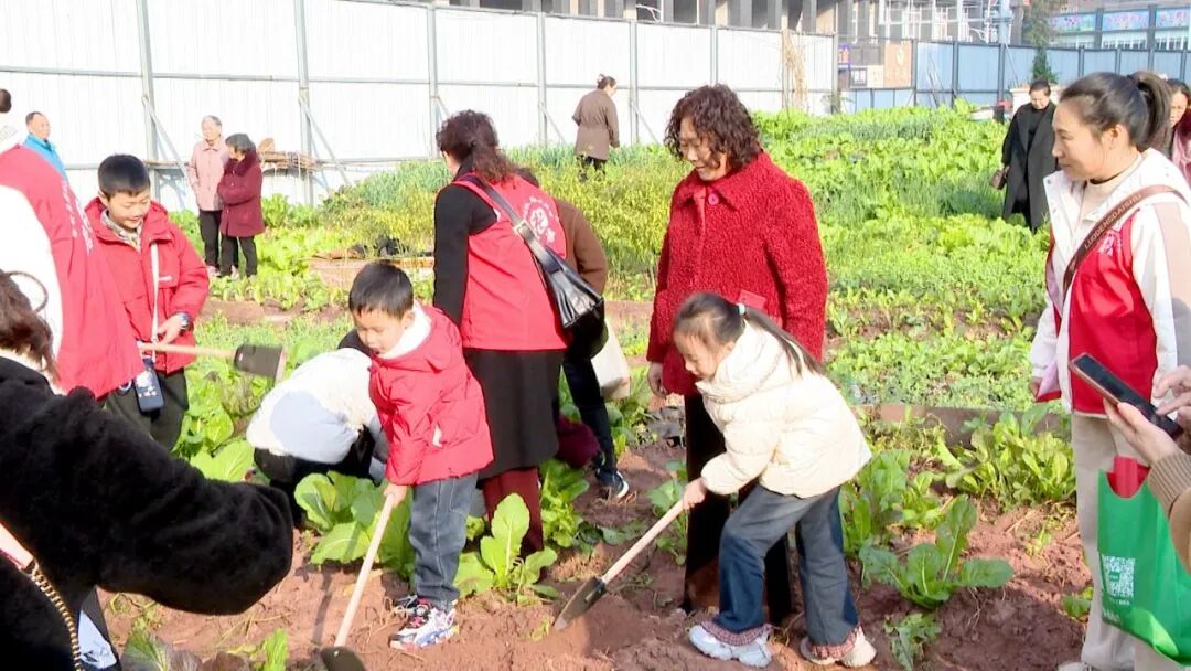 暖冬护苗润童心 生态劳动促成长