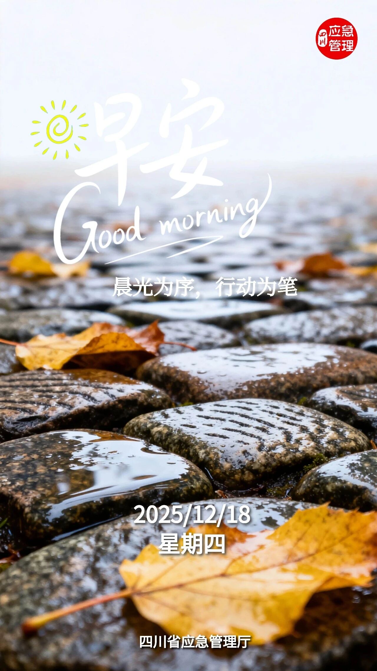 7死1伤，31人被问责！调查报告公布