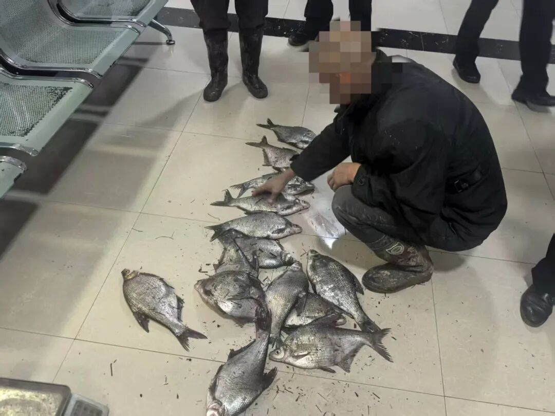 640?wx_fmt=jpeg&from=appmsg#imgIndex=2