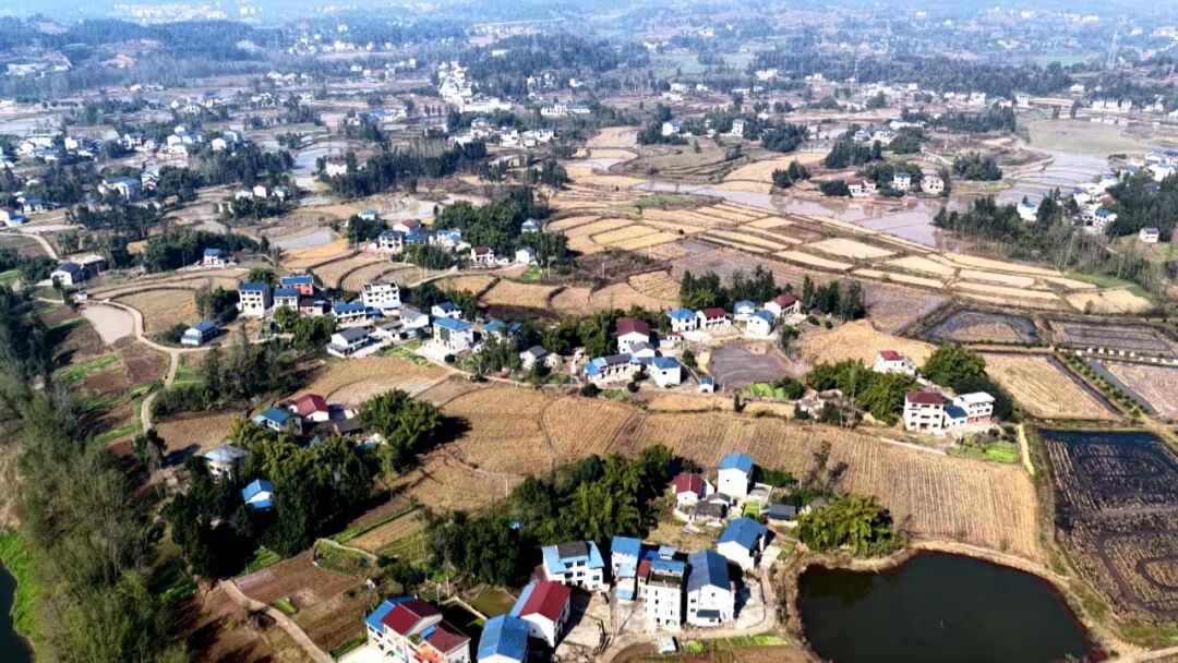 【三大提升行动 · 共治同行】渠县：污水变净水 擦亮乡村底色