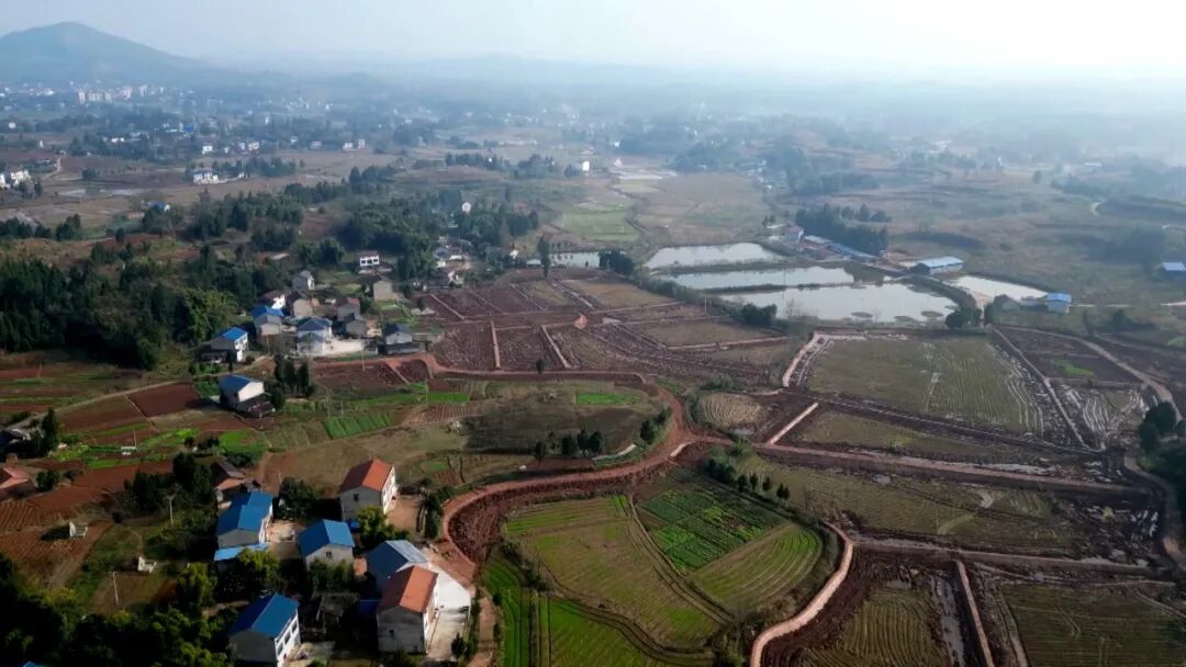 渠县高标准农田：“路通水畅”筑稳“吨粮田”耕基