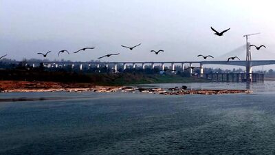 【三大提升行动 · 共治同行】治水护绿筑屏障——渠县激活生态振兴密码