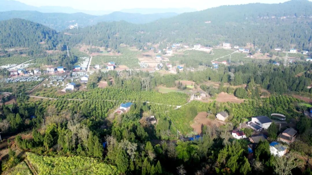 【渠向未来“十五五”】渠县：“协商助企”精准发力 激活农业发展新动能