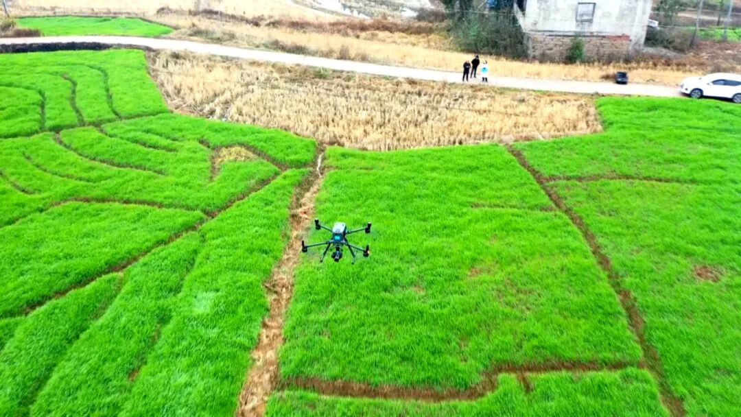 【渠向未来“十五五”】渠县：科技赋能精准普查 扎实推进“四农普”工作