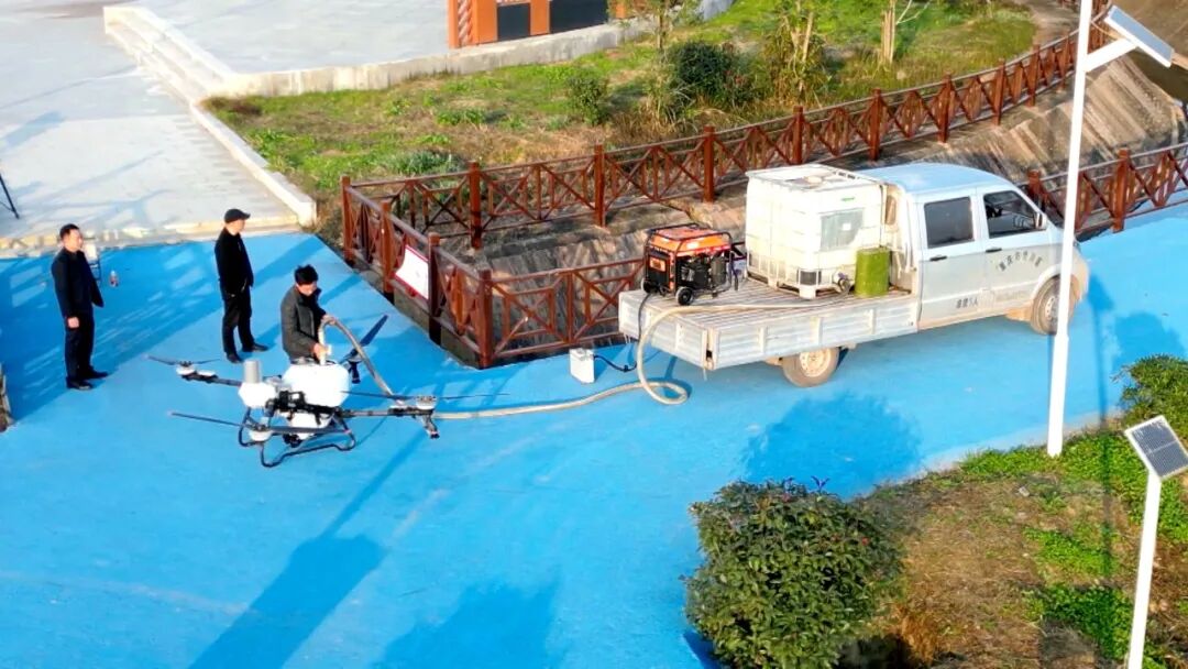 渠县：油菜喷施叶面肥 科技赋能春管加速度