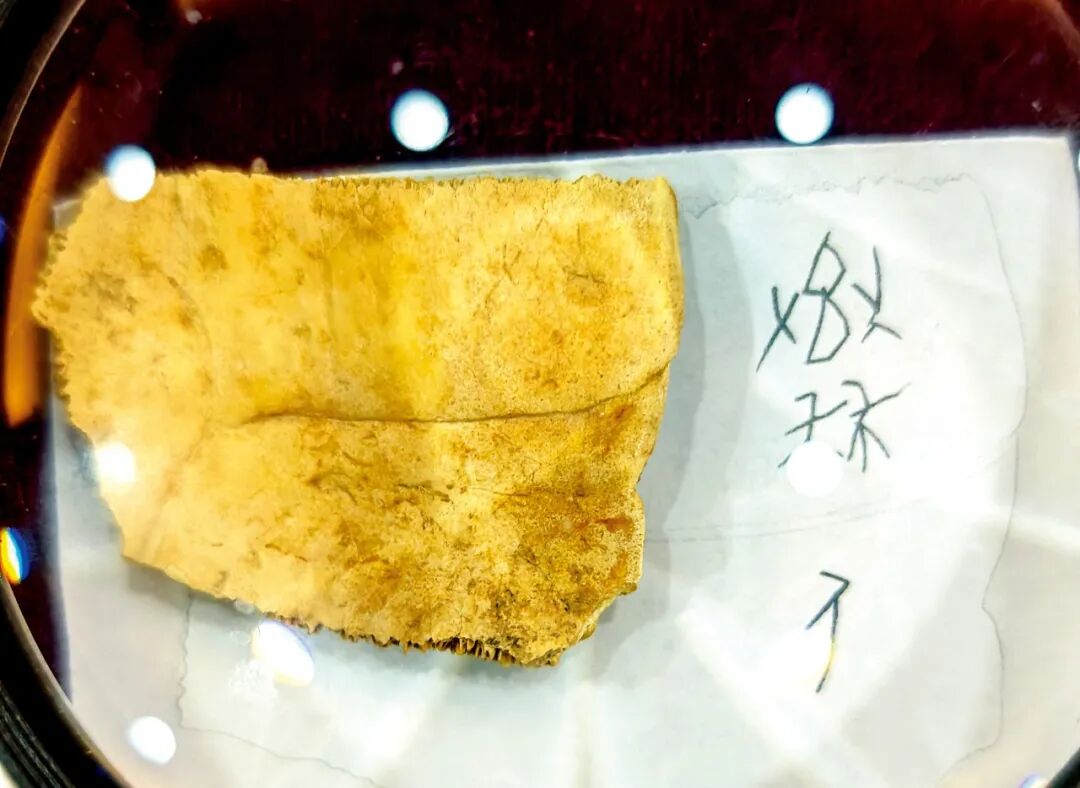 《封神》里的西岐，找到了