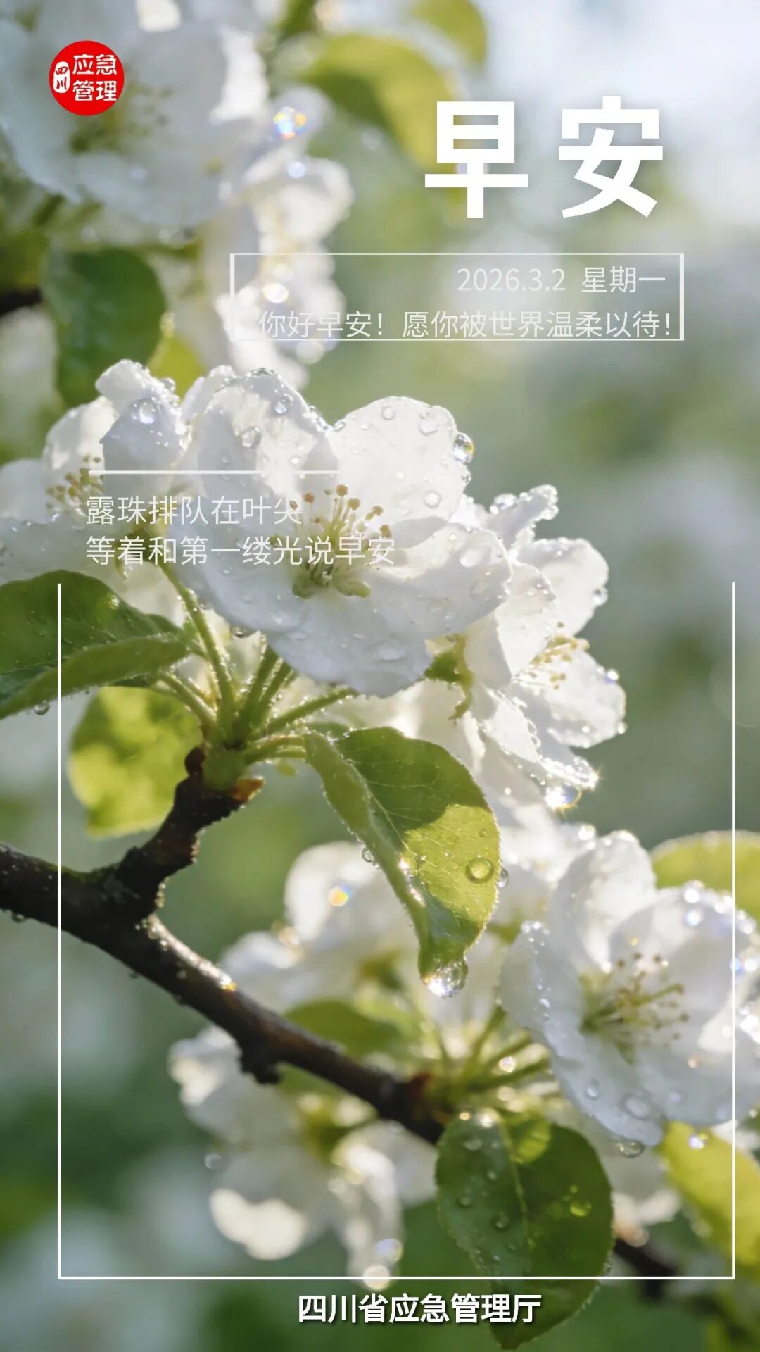 640?wx_fmt=jpeg&from=appmsg#imgIndex=13