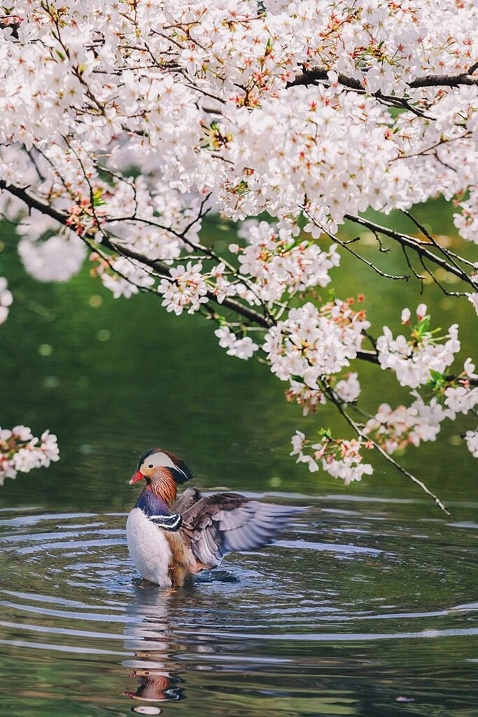 0?wx_fmt=jpeg&from=appmsg