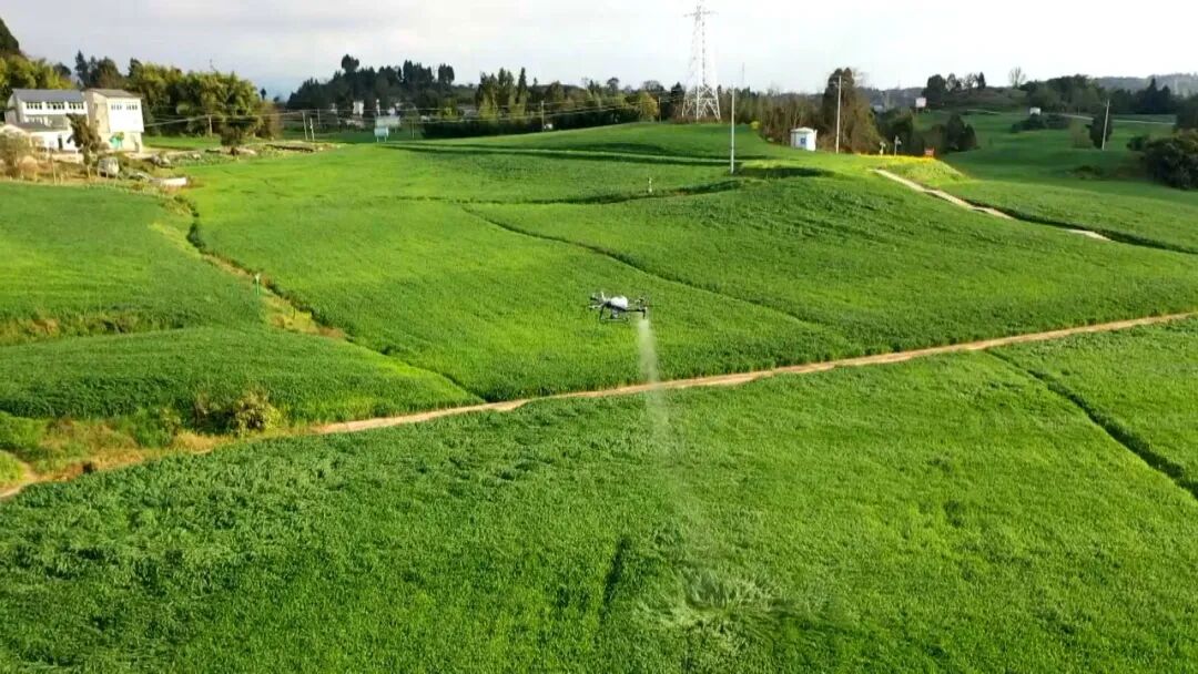 渠县：惊蛰启春耕 田间农事忙