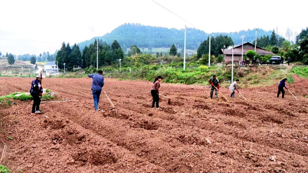 渠县多措并举抓春耕 田间地头“抢春”忙
