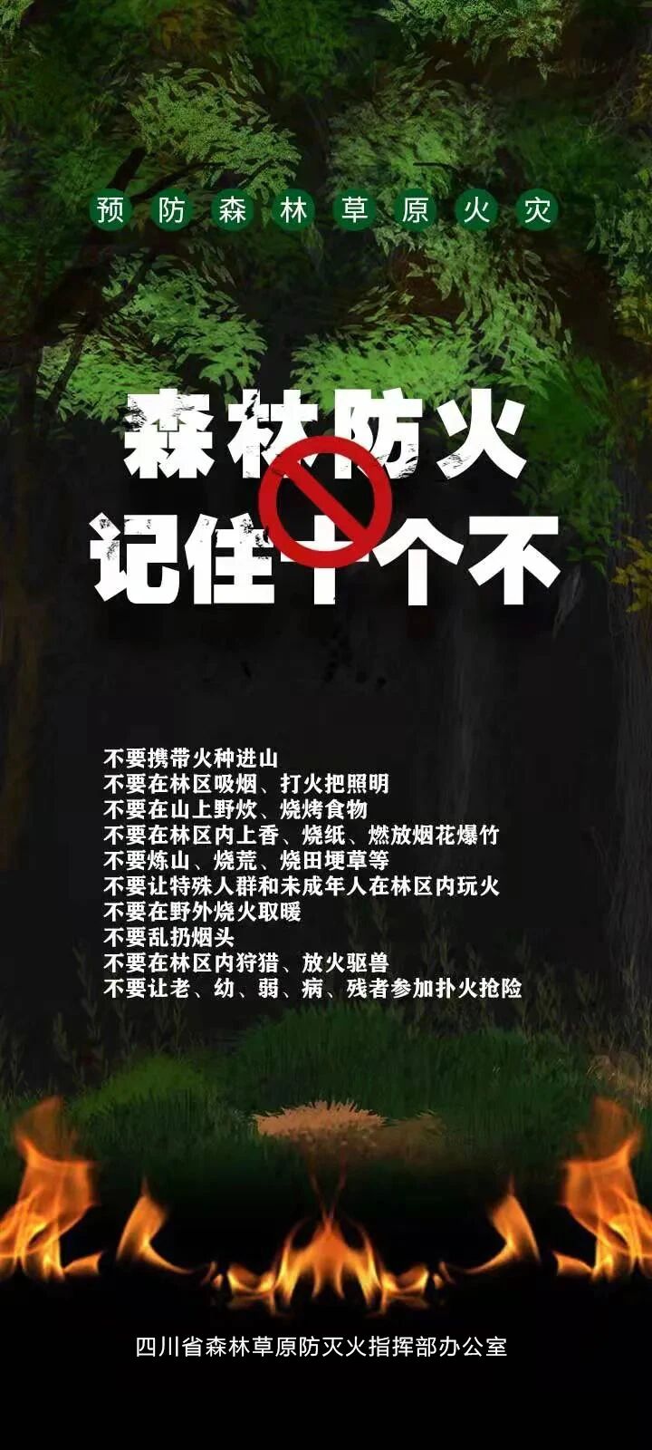 科普视频｜护林防火，警钟长鸣