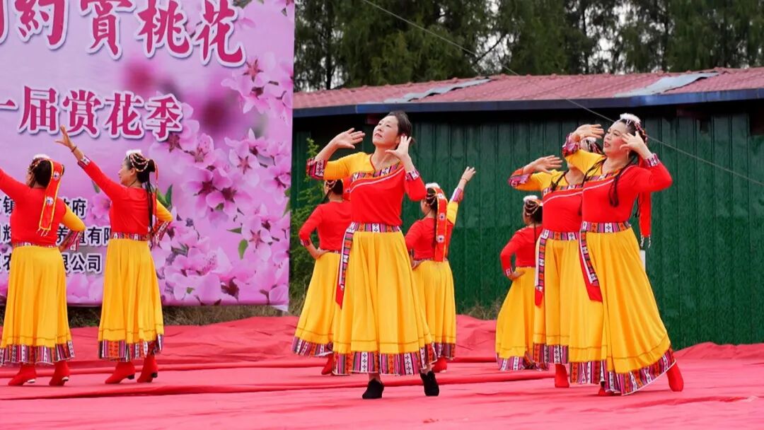 以花为媒 绘就乡村振兴新画卷