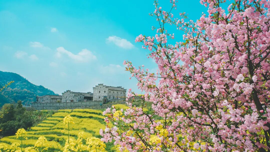 钙含量比牛奶还高！春天建议常吃这3种蔬菜→