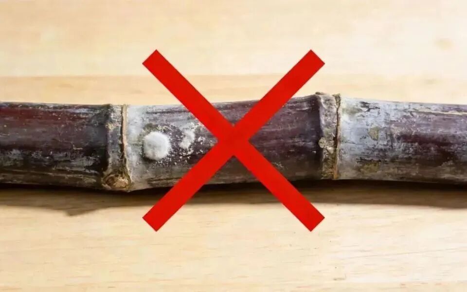 640?wx_fmt=other&from=appmsg#imgIndex=5