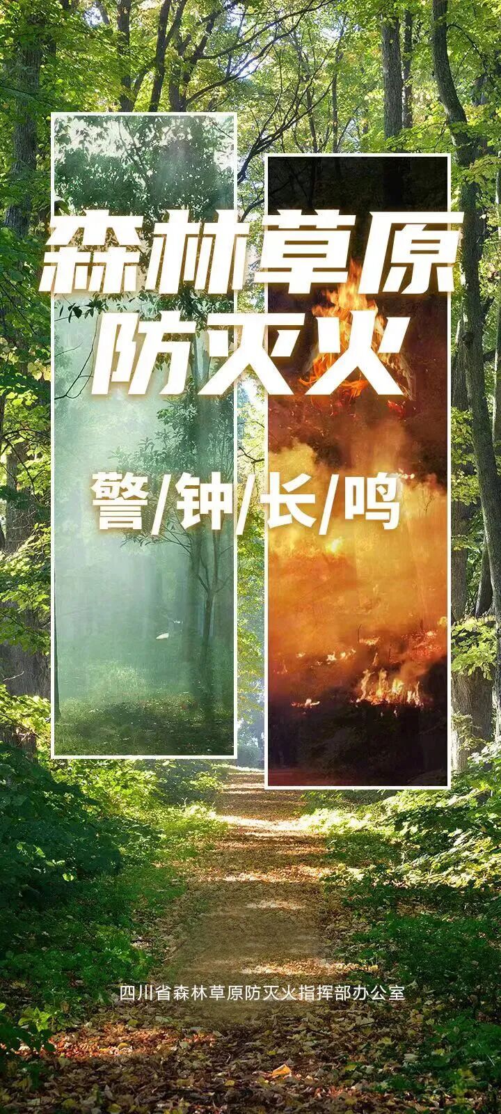 应急科普丨文明祭祀 不忘安全