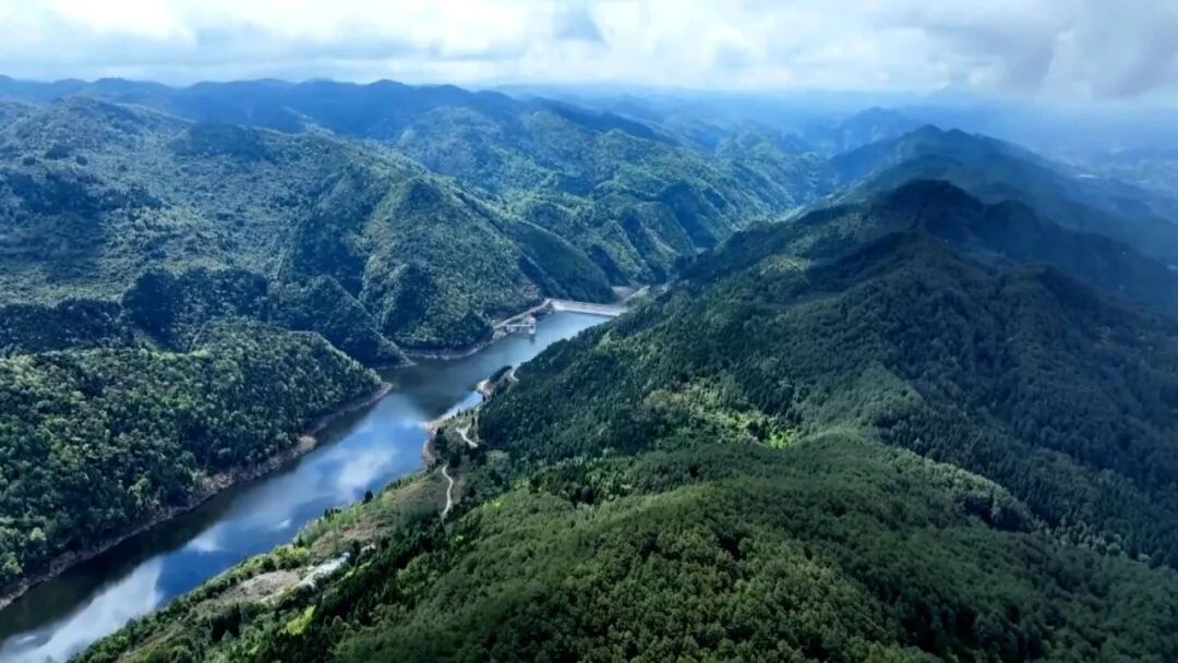 清明将至 渠县筑牢森林防火安全防线