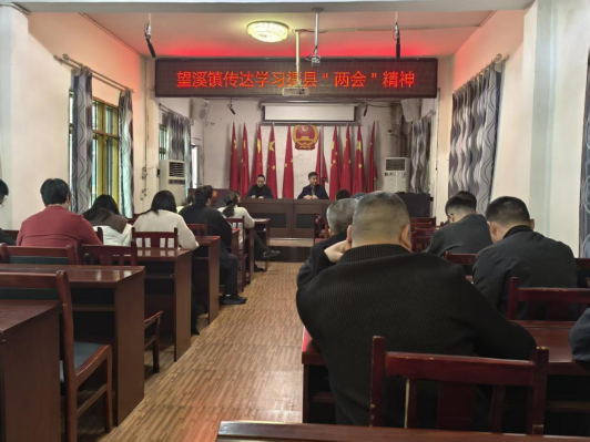 望溪镇召开专题会议传达学习县两会精神