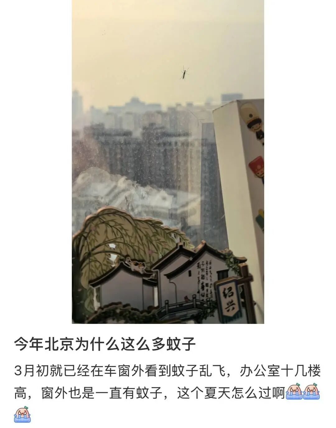 “今年蚊子史诗级加强”？疾控部门提醒