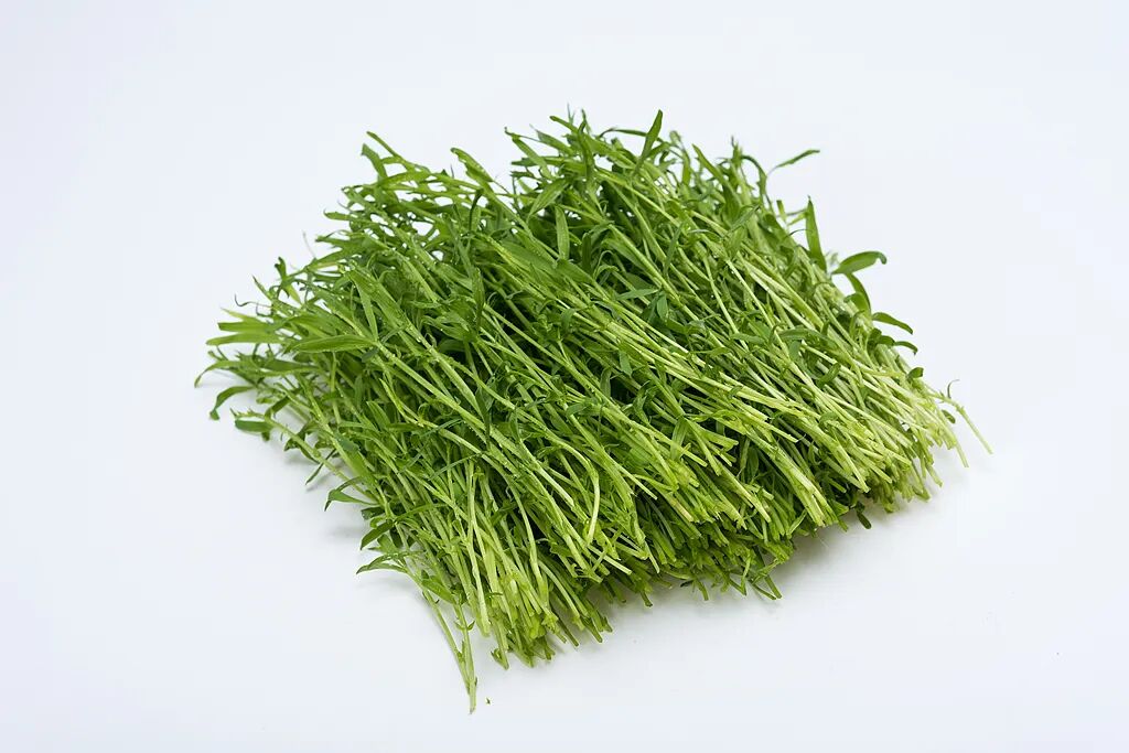 它是“超级生命力食材”，现在正当季，再不吃就晚了