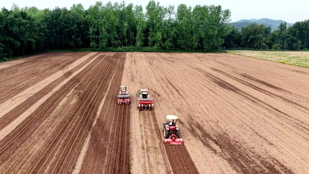 渠县：科技“慧”种地 增收底气足