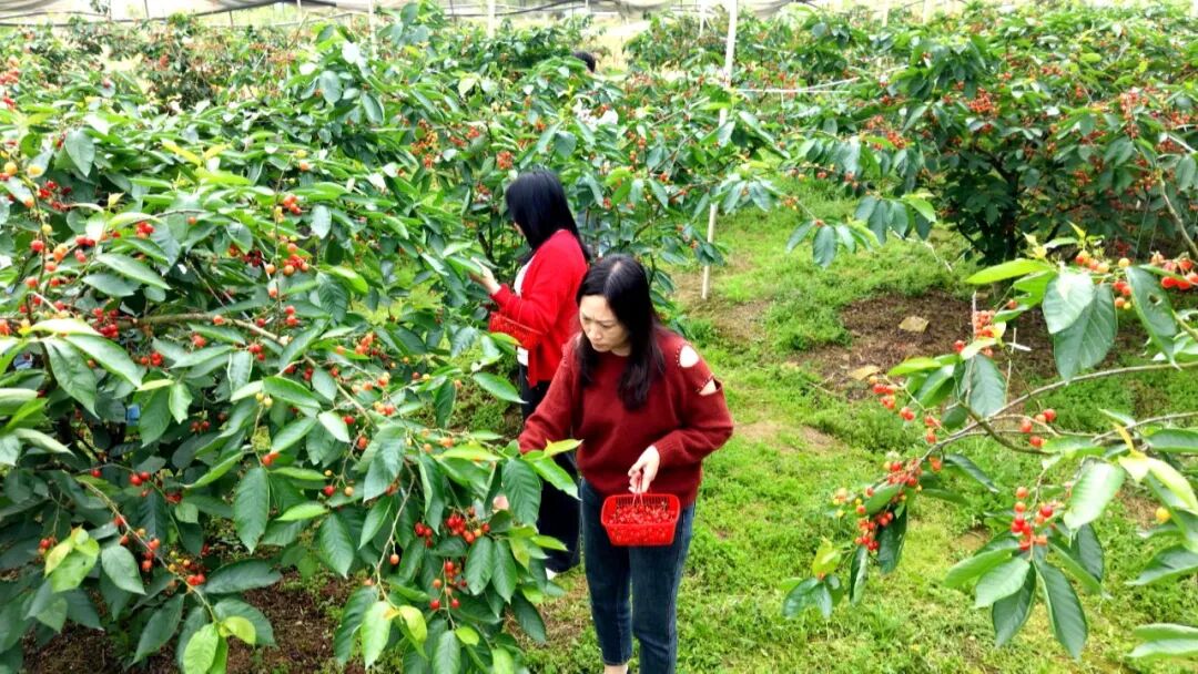 640?wx_fmt=jpeg&from=appmsg#imgIndex=1