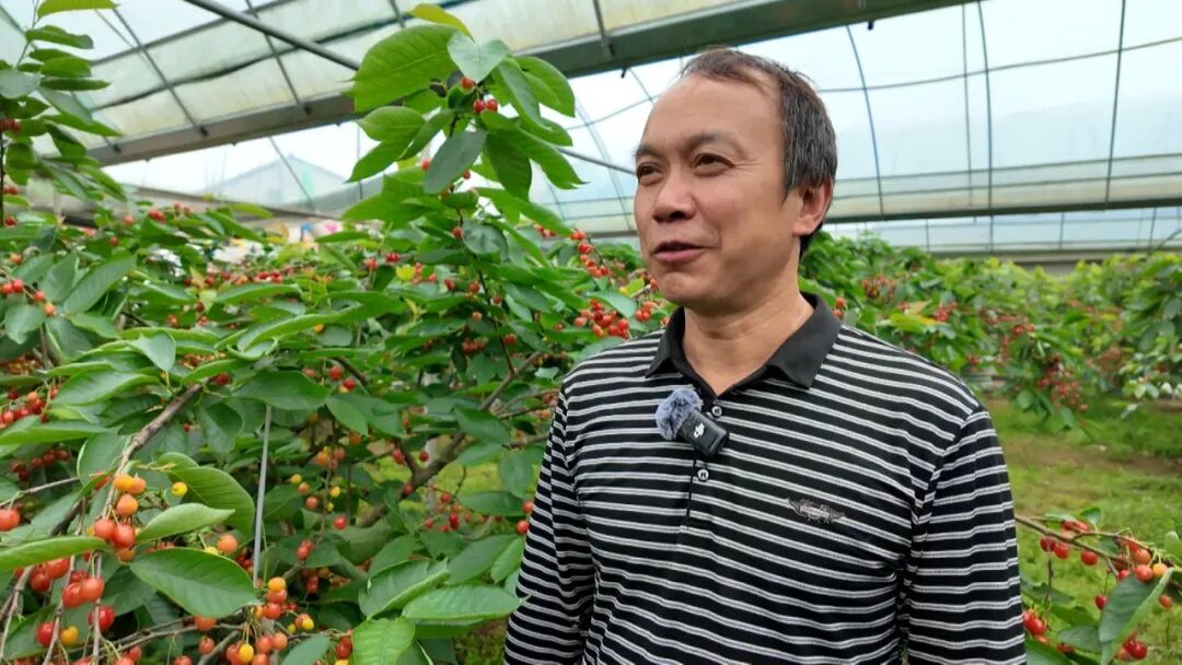 640?wx_fmt=jpeg&from=appmsg#imgIndex=3