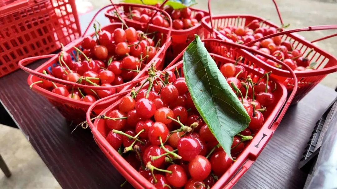 640?wx_fmt=jpeg&from=appmsg#imgIndex=4