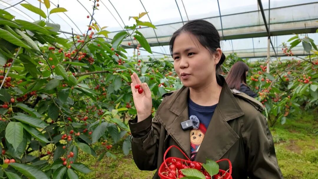 640?wx_fmt=jpeg&from=appmsg#imgIndex=5