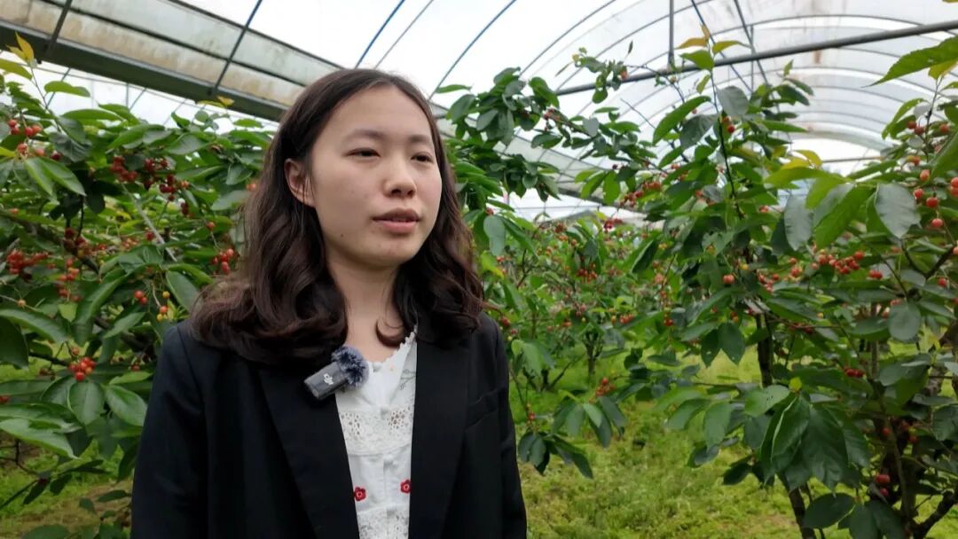 640?wx_fmt=jpeg&from=appmsg#imgIndex=6