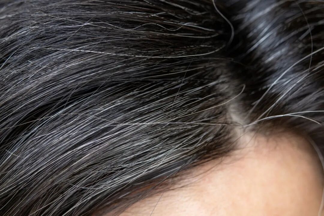 640?wx_fmt=jpeg&from=appmsg#imgIndex=1