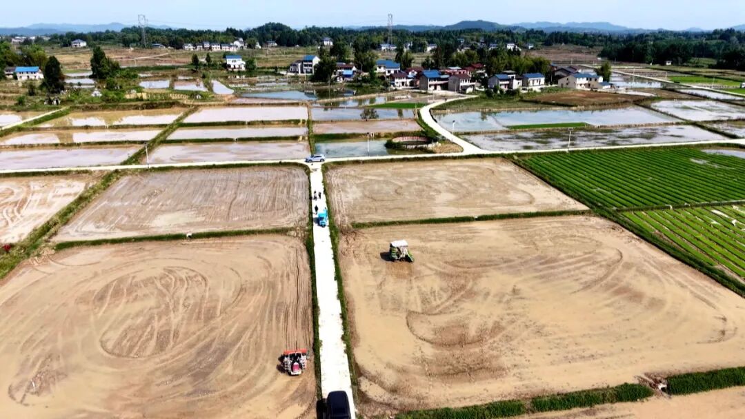 渠县：水稻种肥同播春耕上新 科技种田省肥省力稳增收