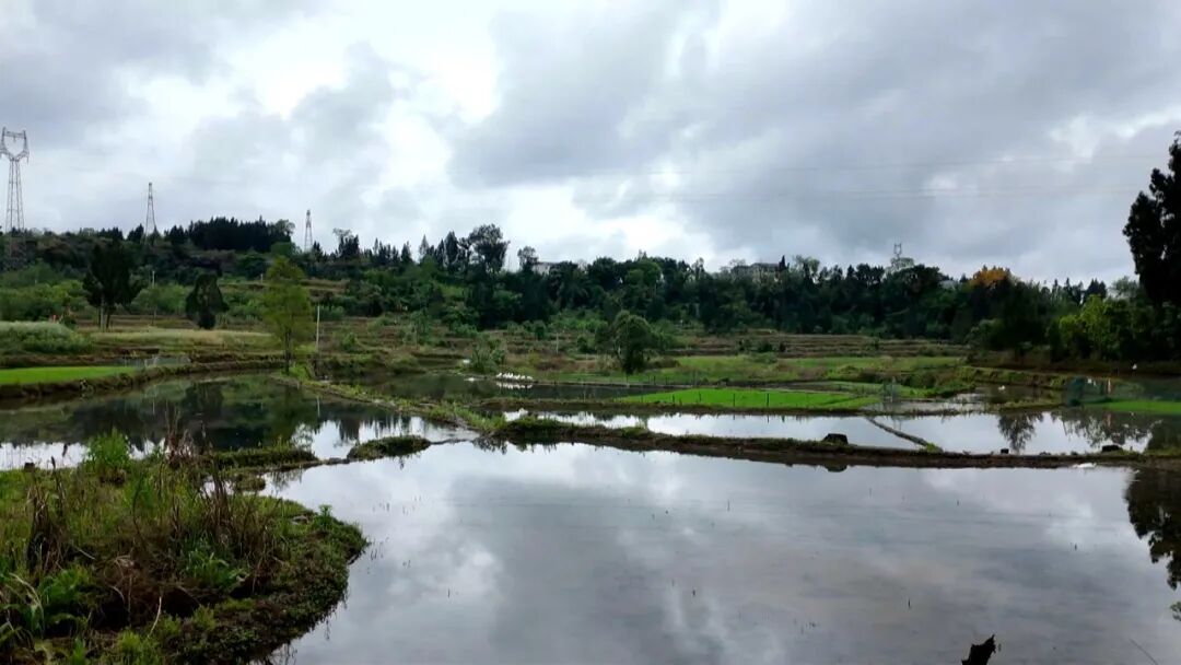 土溪镇汉阙社区：一泓清水润民心