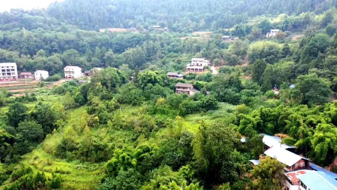 渠县：智慧防控 筑牢汛期地灾安全防线