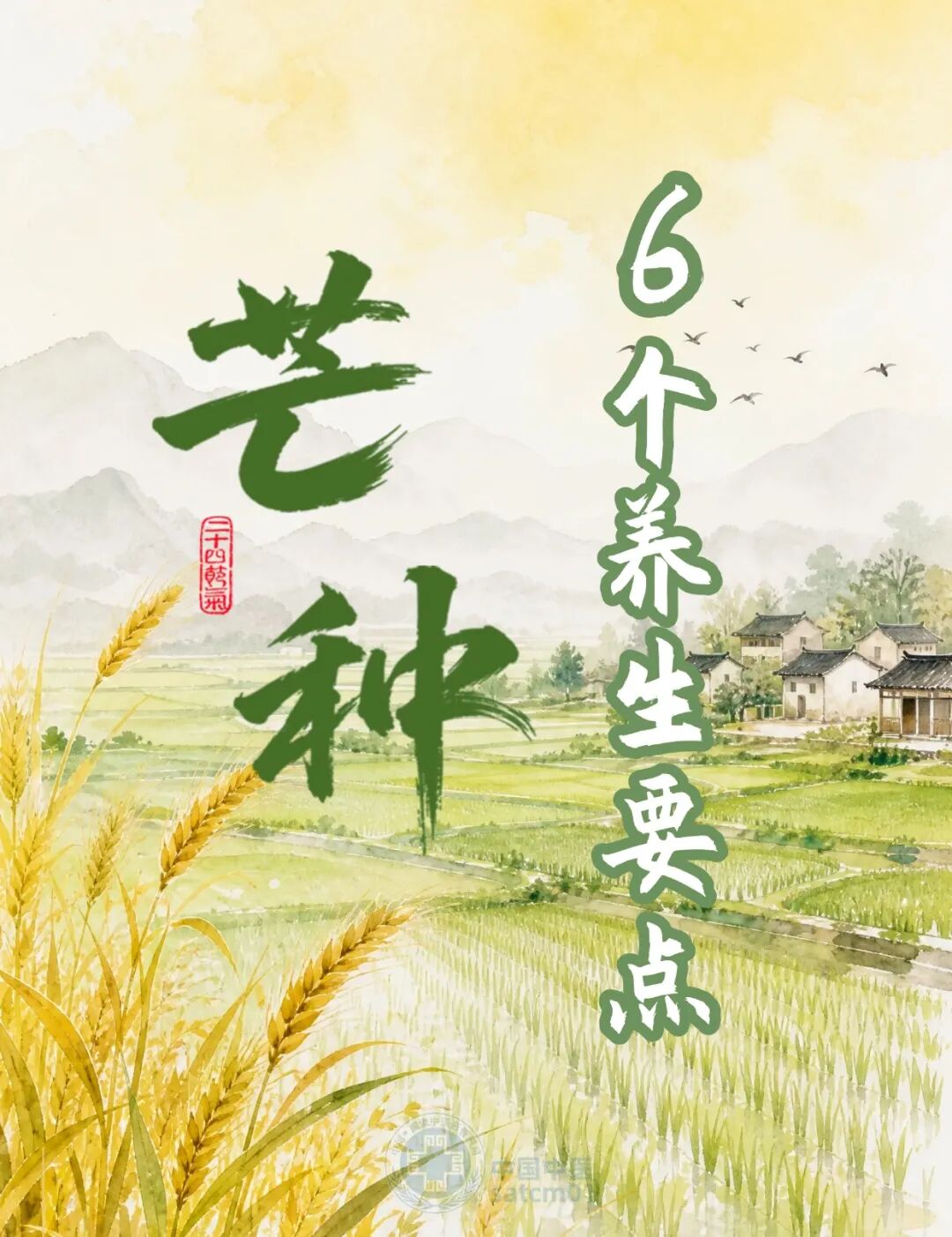 【健康养生】明日芒种，仲夏始，6个养生要点请查收，未病先防，健康一夏