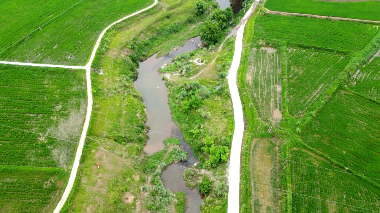 落实省委全会精神·建设福美渠县 | 路通百业兴 织密乡村振兴“快车道”